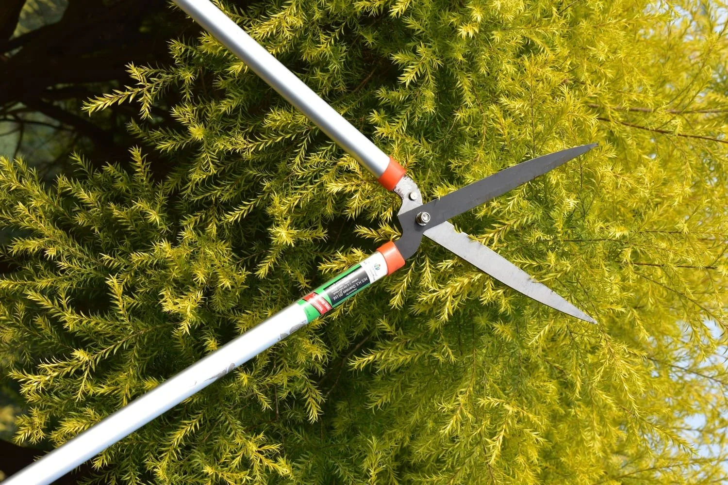 Answer image alt text