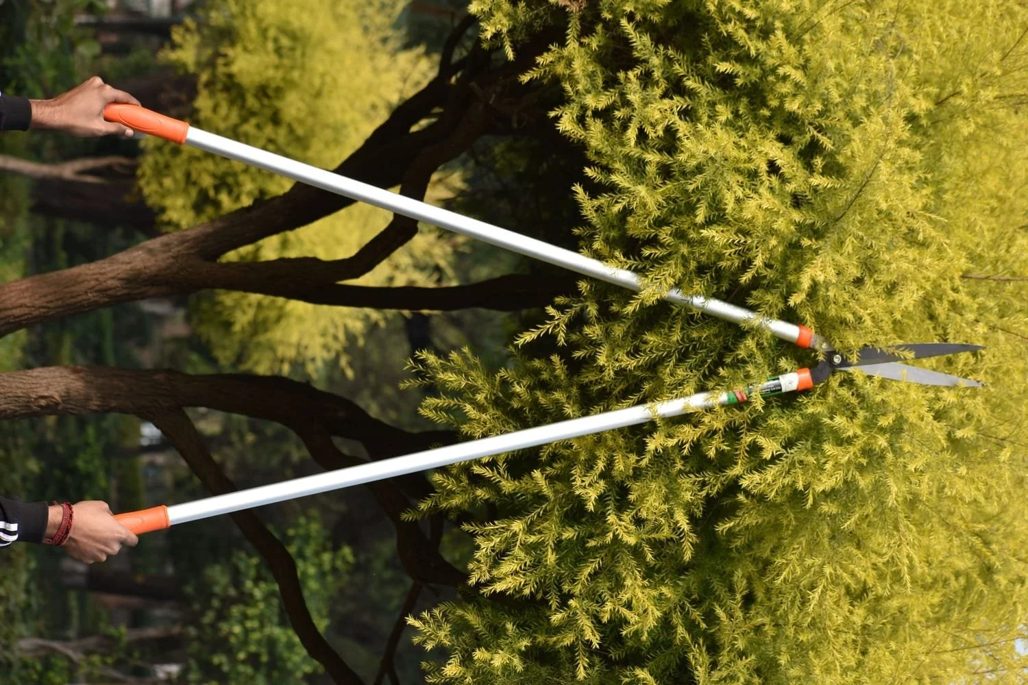 Answer image alt text