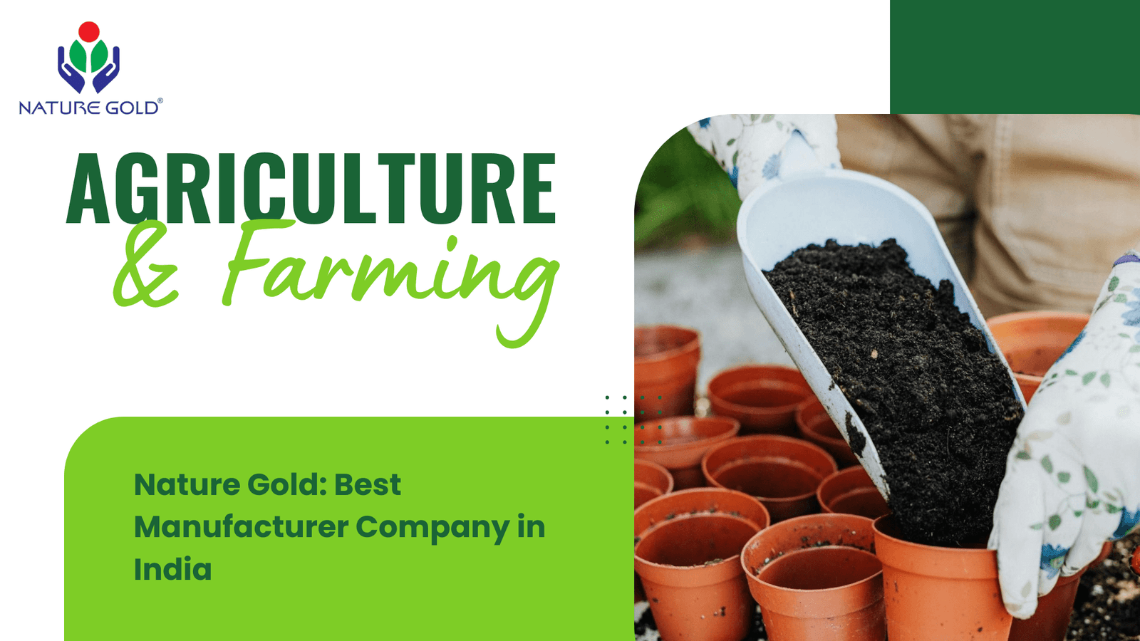 Nature Gold Best Manufacturer