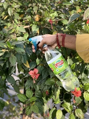 Trigger Spray Bottle NG-200A (Blue Trans) - Image 3