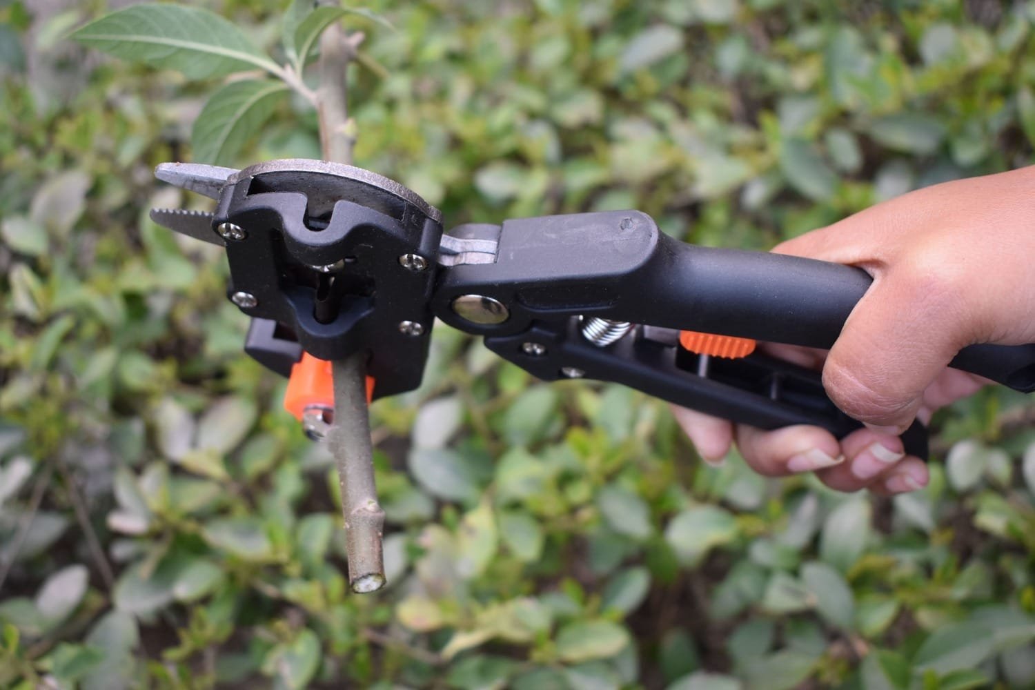 Professional Plant Grafting NG-GT-401 - Image 3