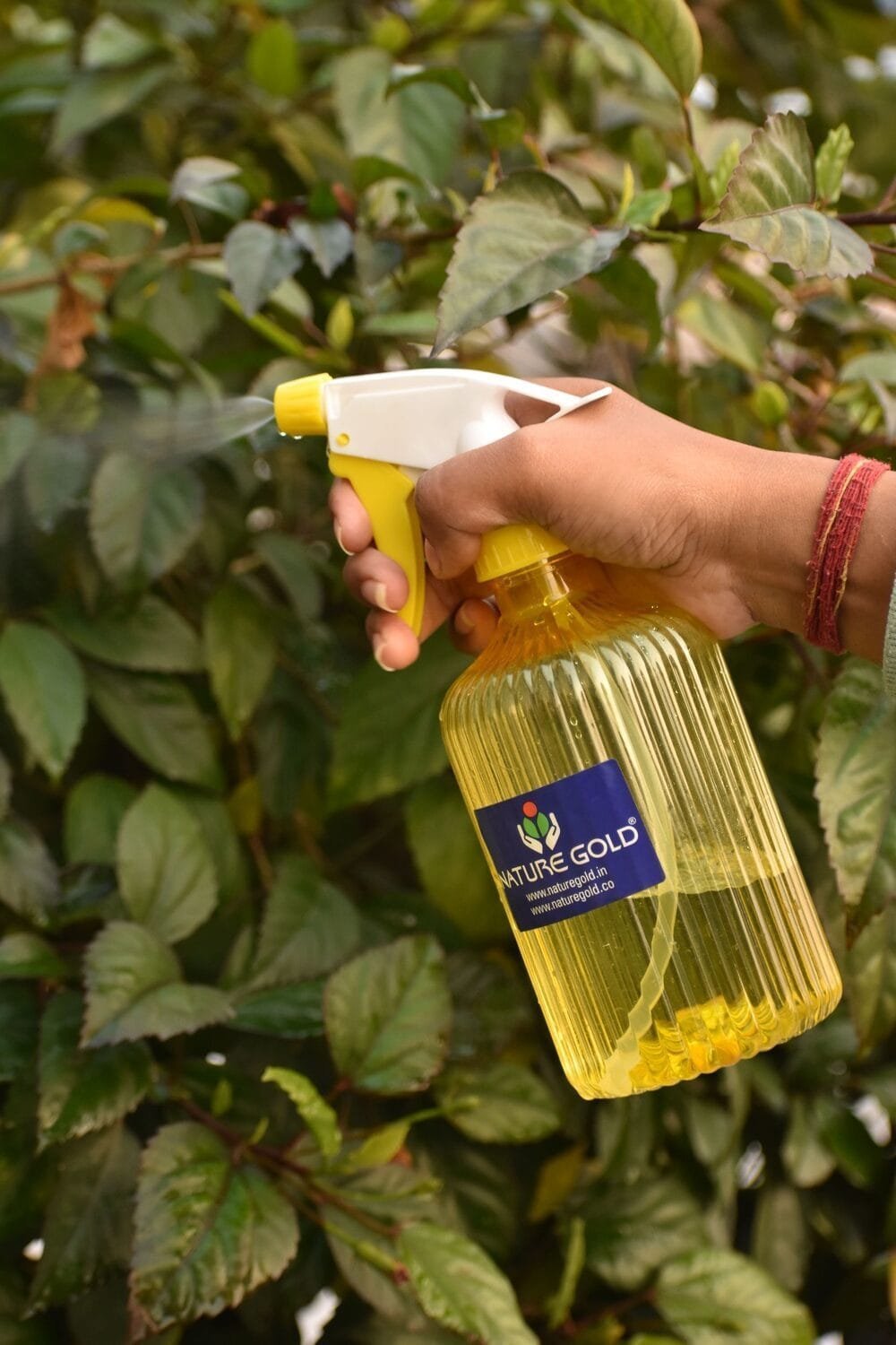 Mist Sprayer for Plants NGI-232 - Image 2