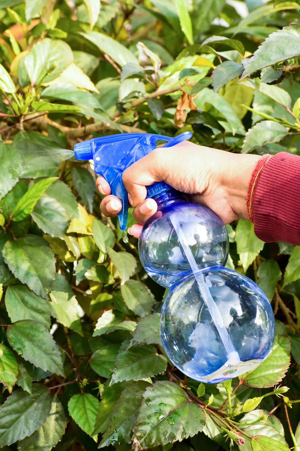 Pet Spray Bottle NG-258 - Image 2