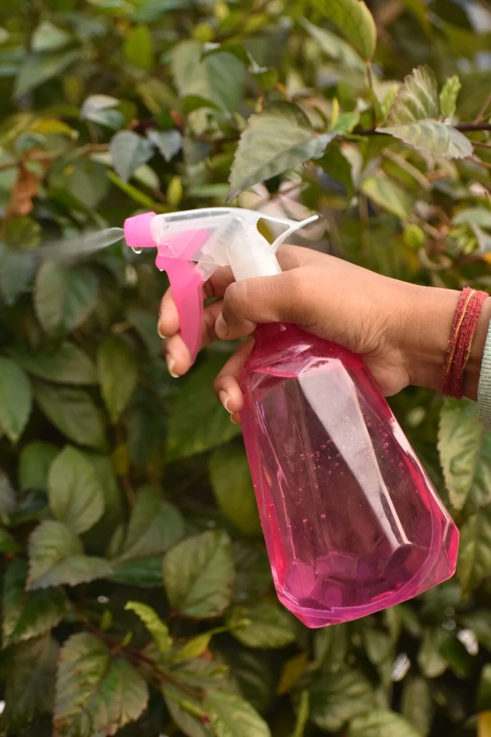 Spray Bottle for Plants NGI-264 - Image 4