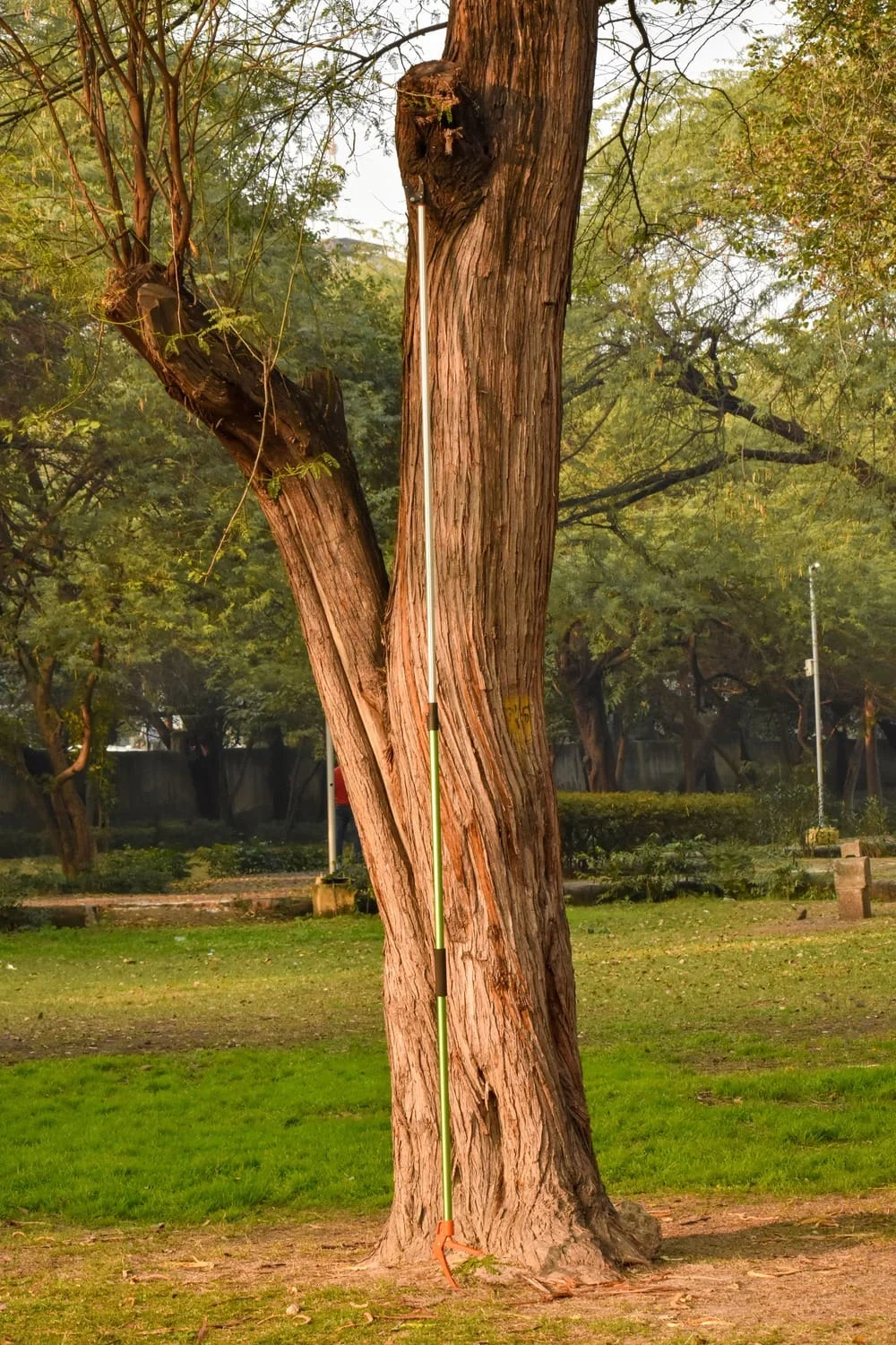 Fruit Plucker Scissor NG-FP-2222 - Image 5