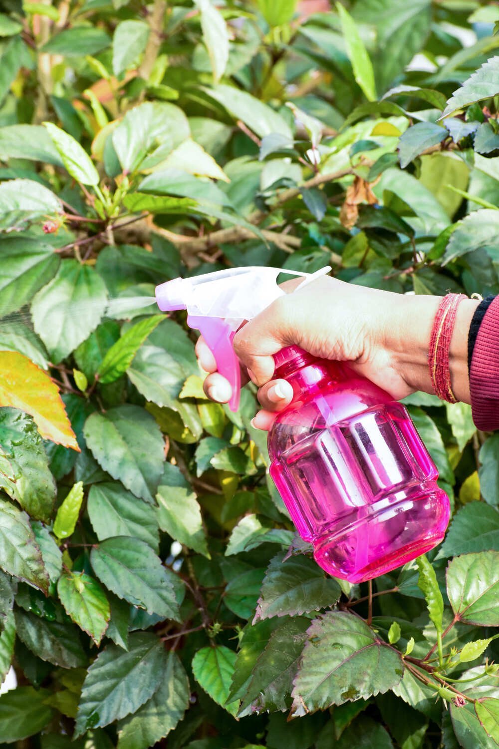 Mist Spray NGI-227 - Image 4