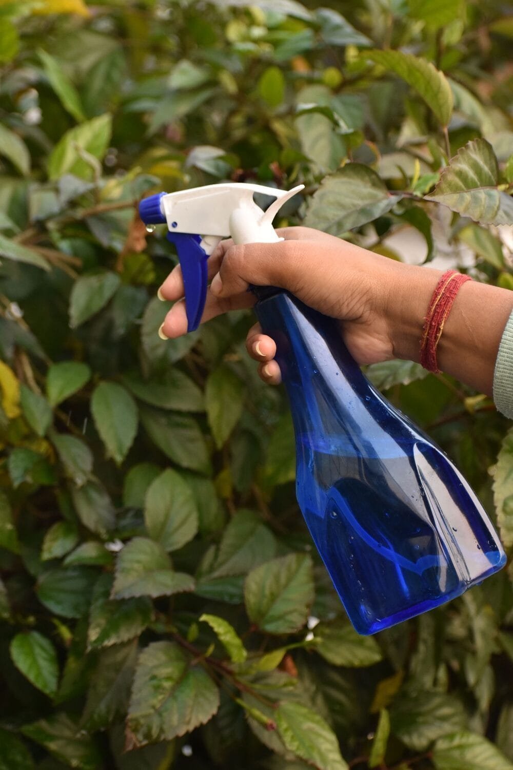 Spray Bottle NGI-1026 - Image 4