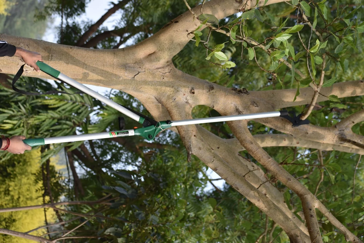 Telescopic Pruner NG-LRP-11 - Image 4