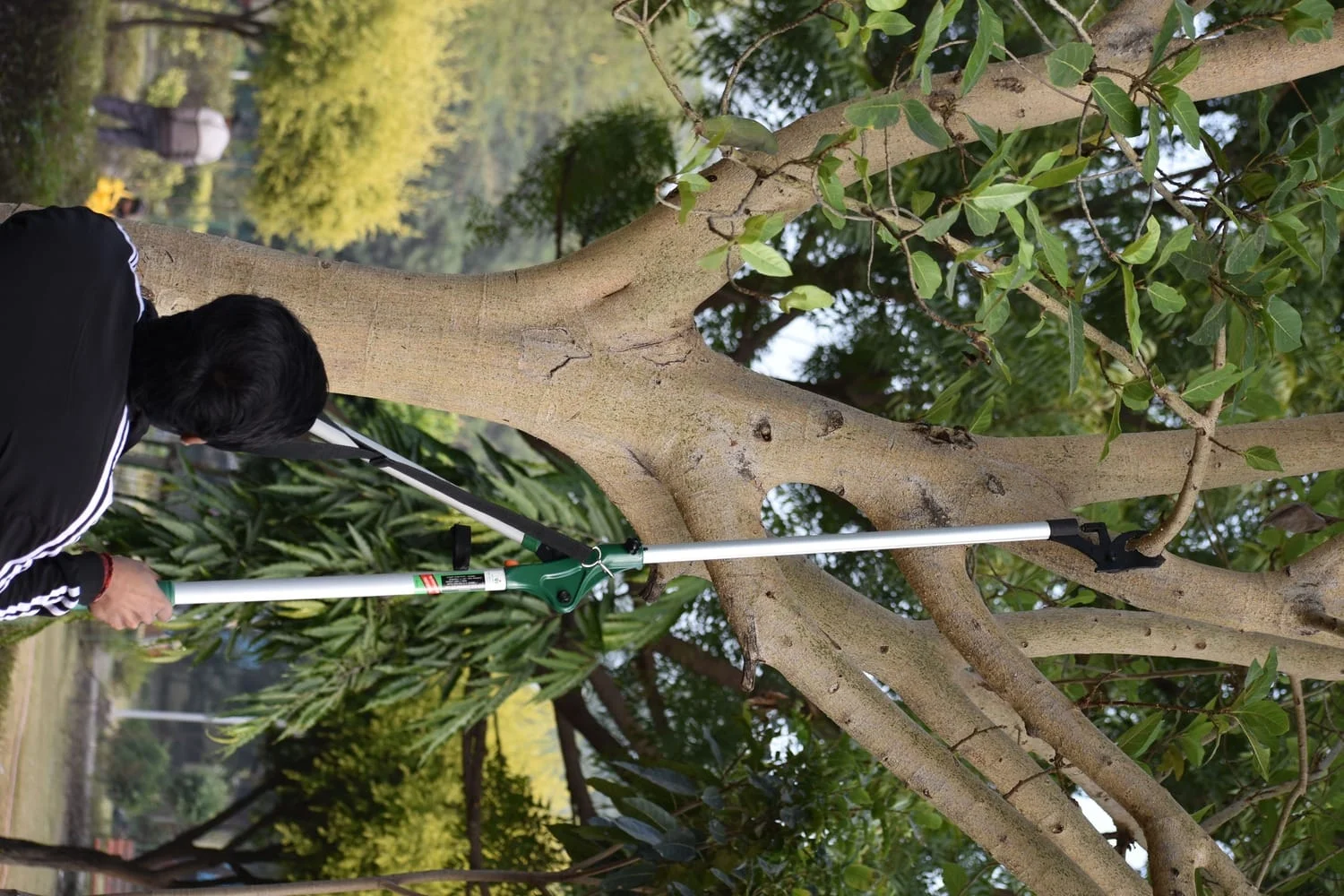 Telescopic Pruner NG-LRP-11 - Image 5