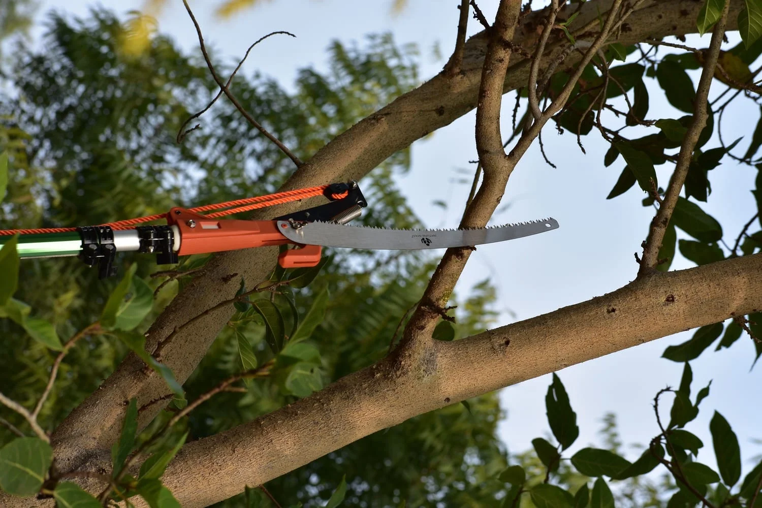 Long Tree Pruner NG-LPS-1112 - Image 3