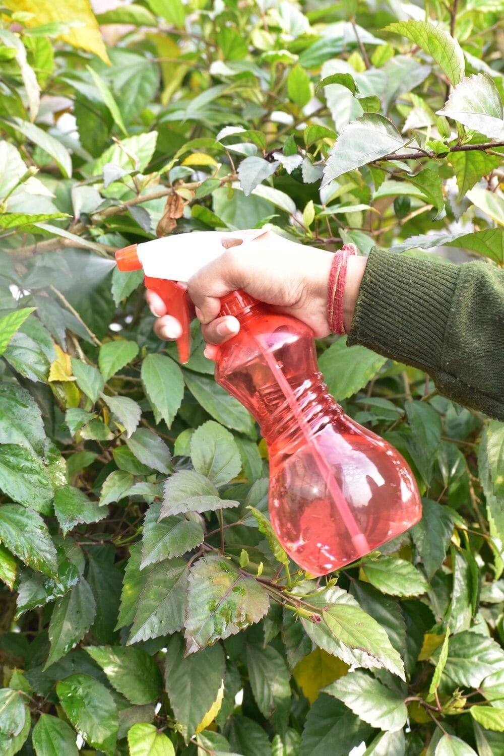 Pet Sprayer Bottle NG-259 - Image 2