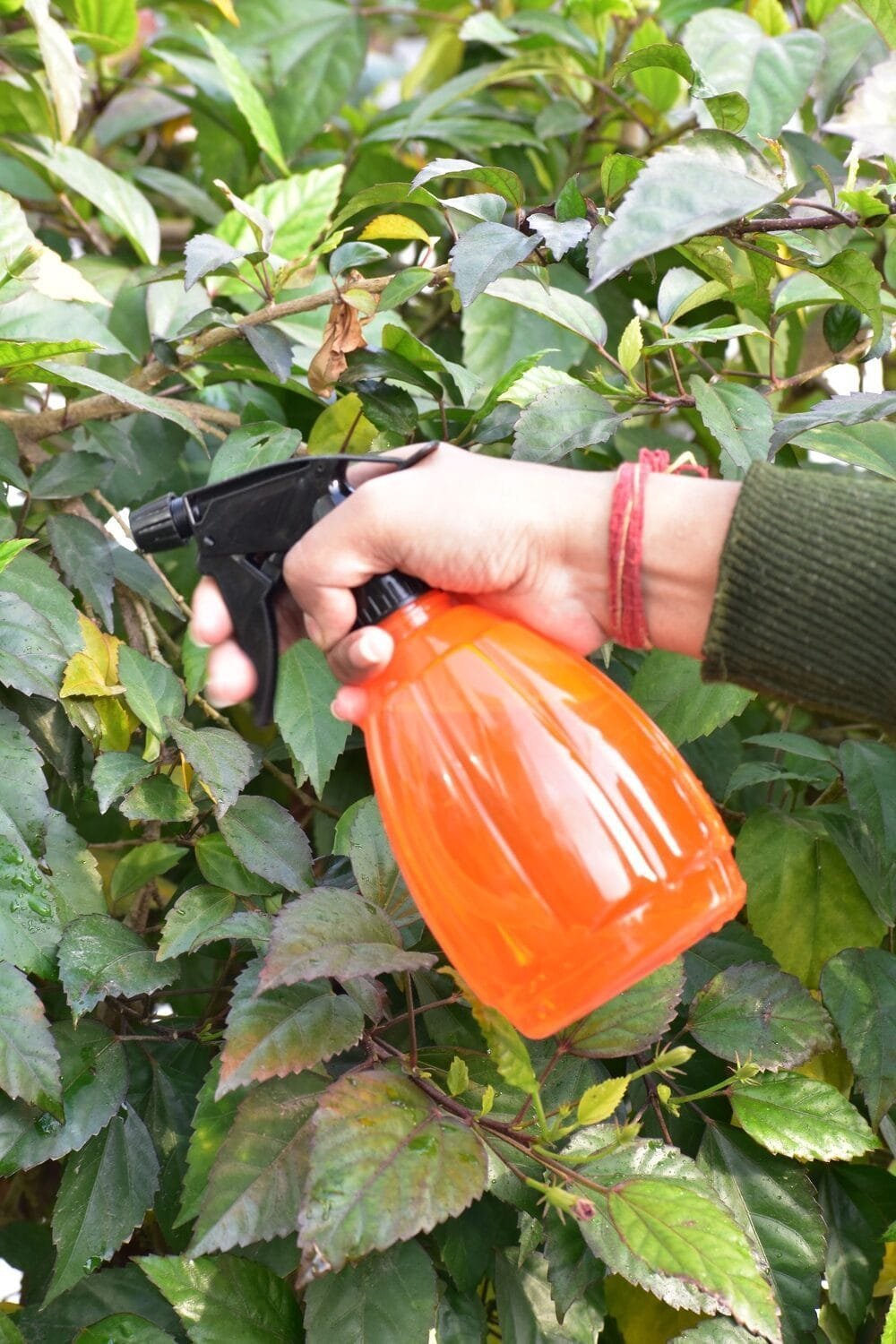 Spray NGI-217 - Image 4