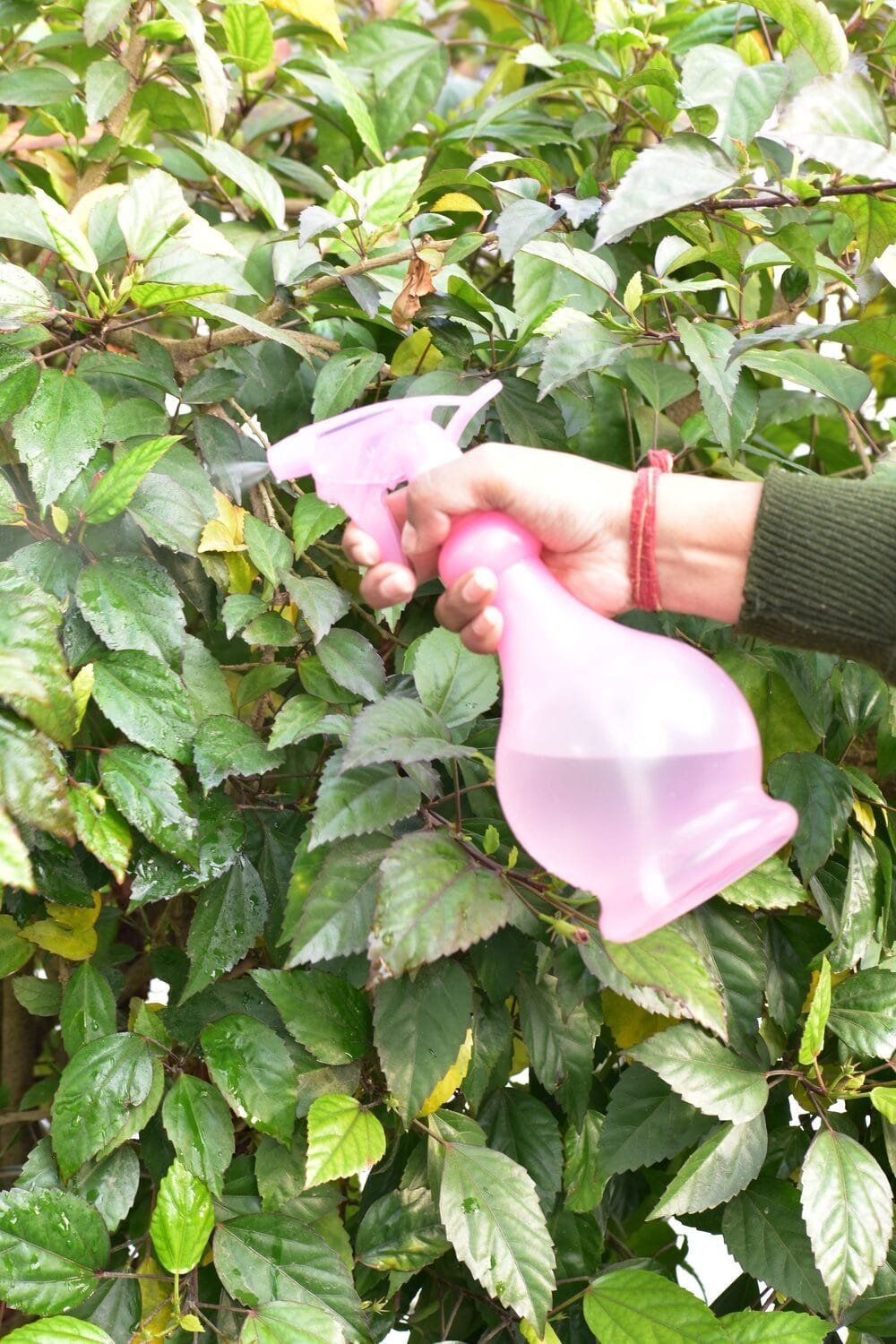 Pet Bottle NG-1028 - Image 3