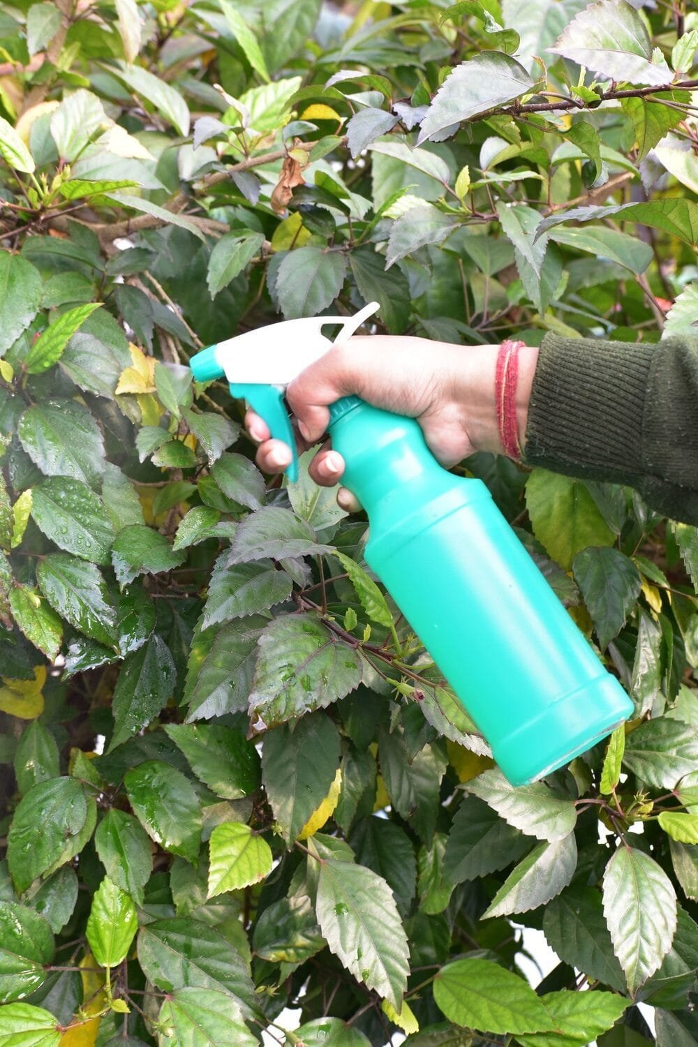 HDPE Bottle NG-2012 - Image 3