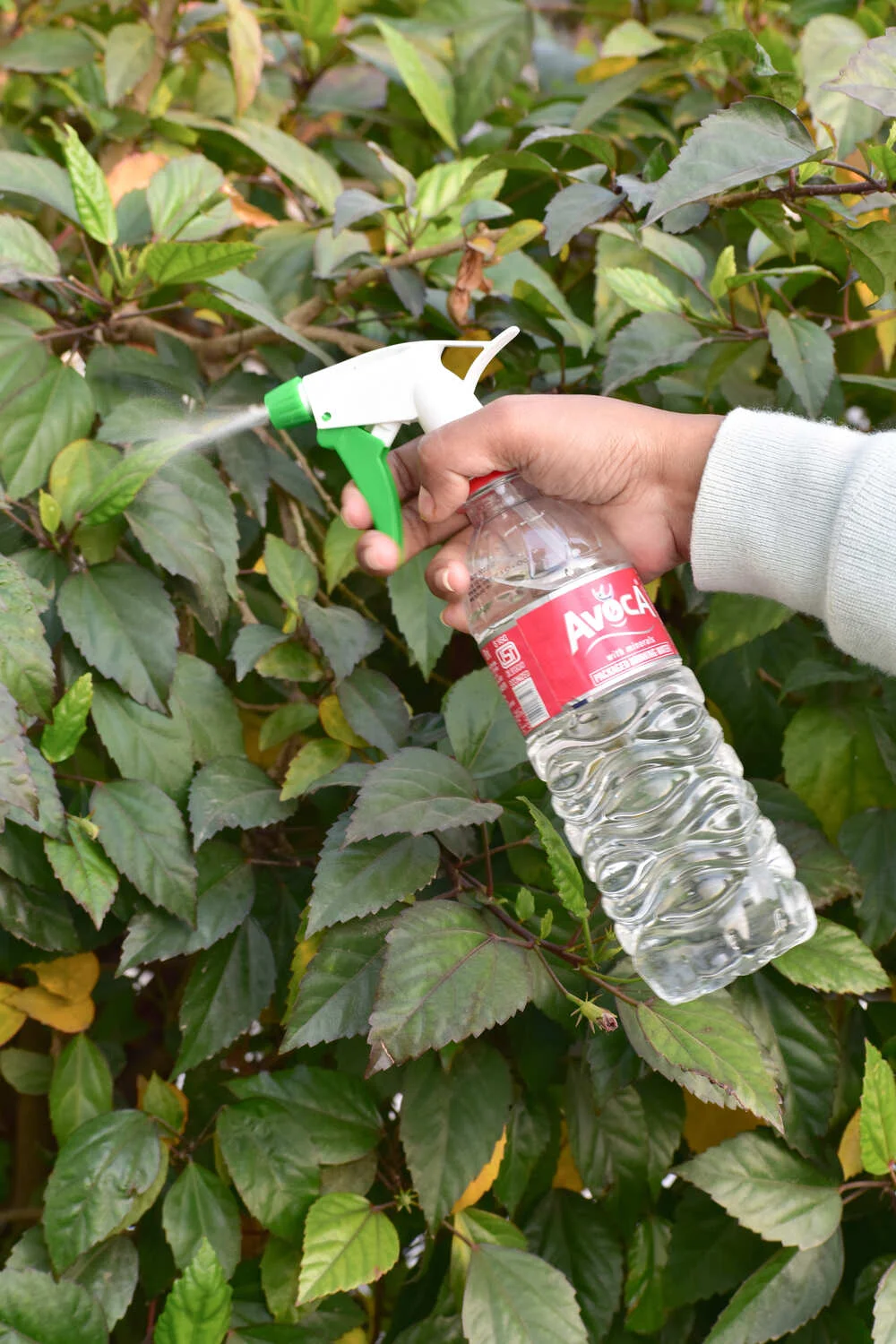 Trigger Spray Nozzle NG-200A (Green & White) - Image 3