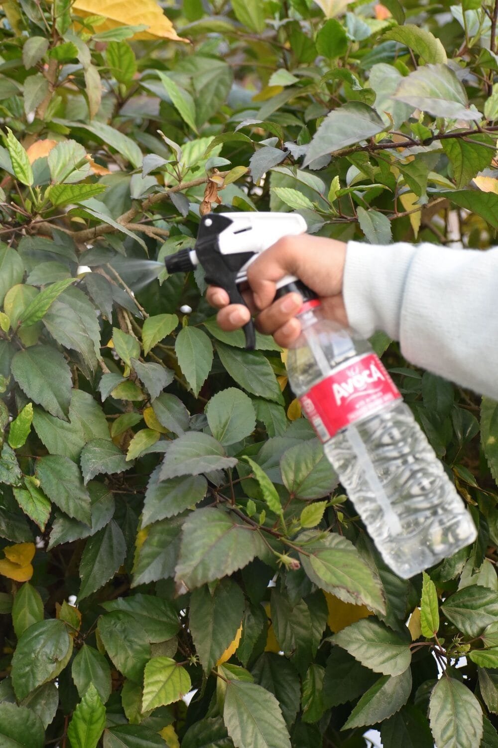 Trigger Spray Gun NG-200D (Black & White) - Image 3