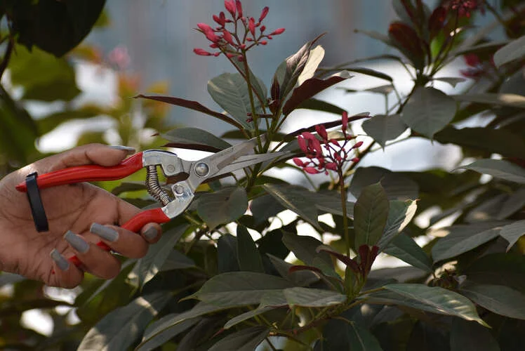 Micro-Tip Pruning Snip Pruner-NG-P-958 - Image 3