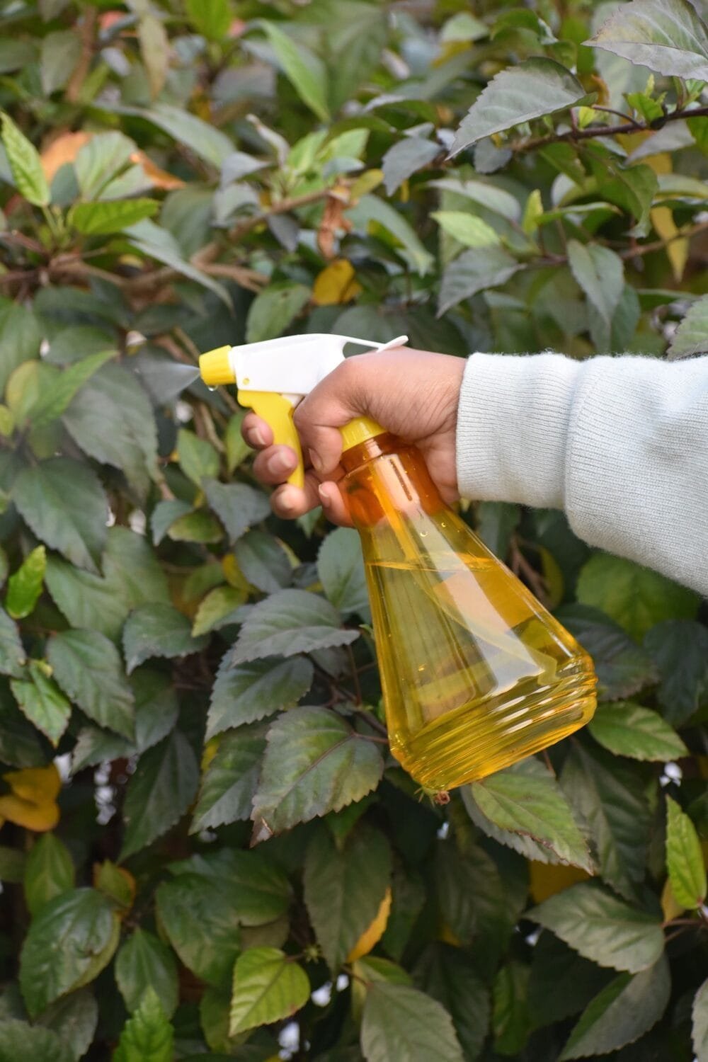 NGI-230 Mist Spray Bottle - Image 4