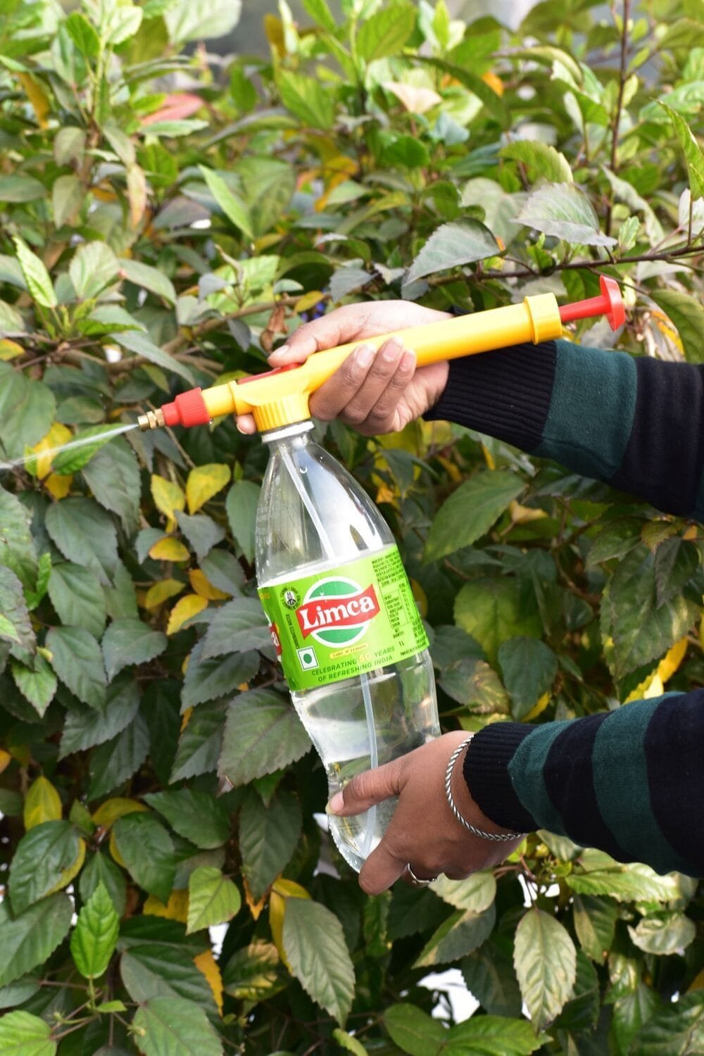 Hand Sprayer NG-704 - Image 3