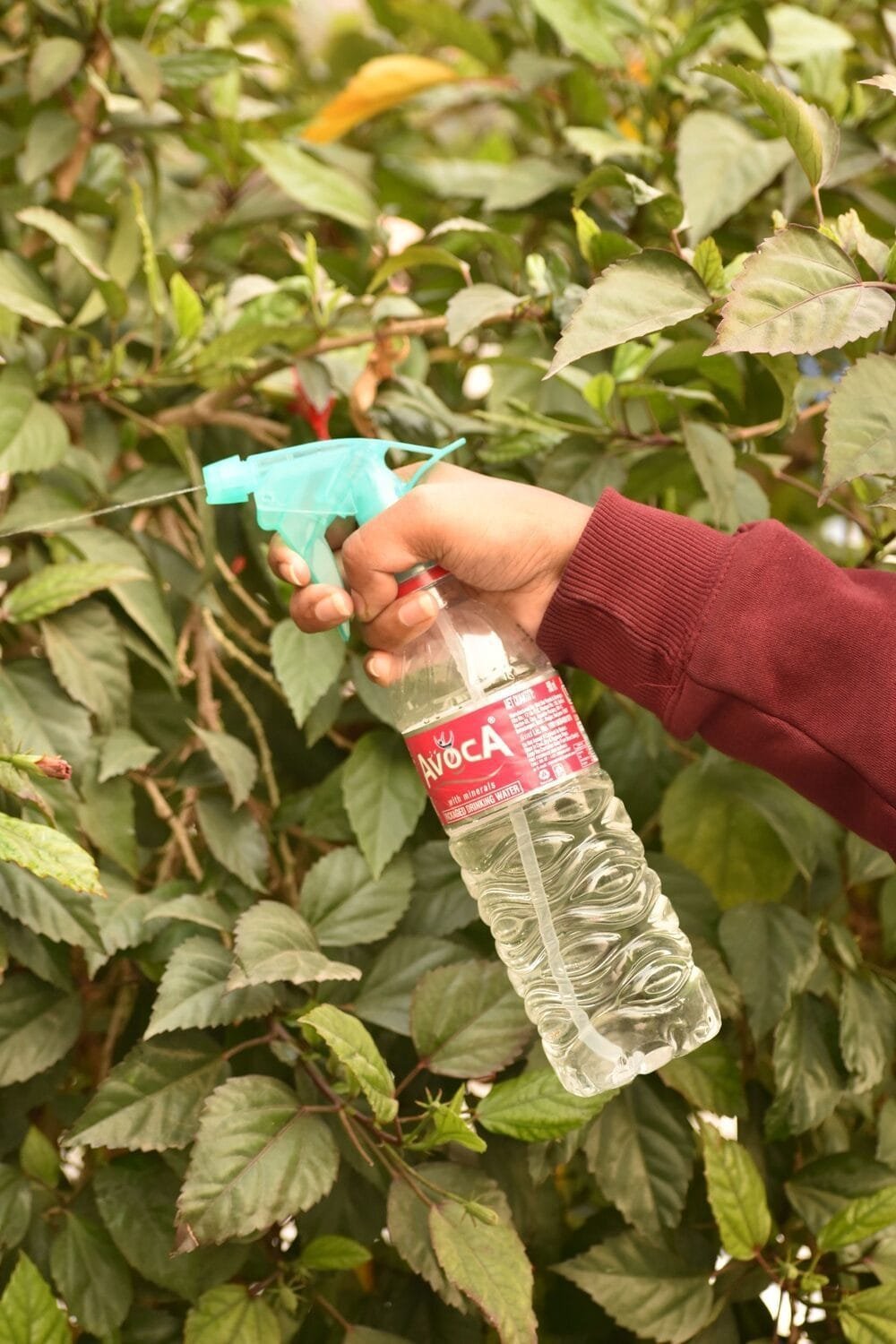 Trigger Sprayer Pipe Bottle NG-200A (Trans. Blue) - Image 2