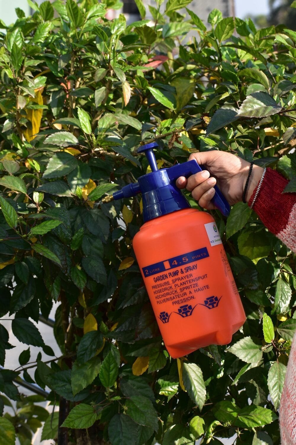 Hand Pump Sprayer NG-5073-6A - Image 3