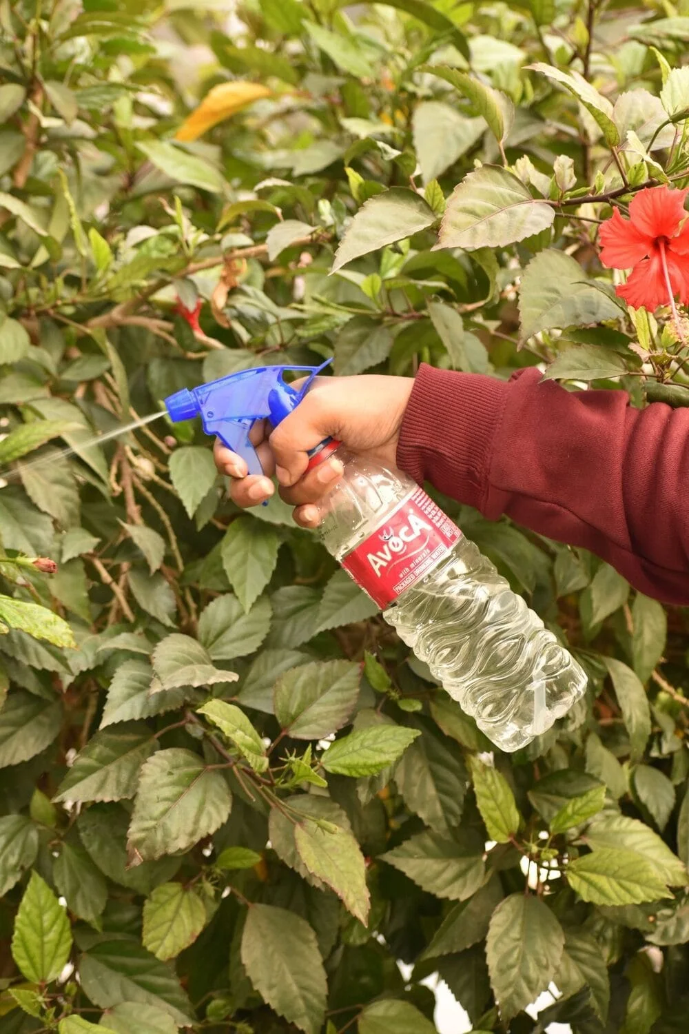 Trigger NG-200A (Duck Blue Trans. With Natural) - Image 3