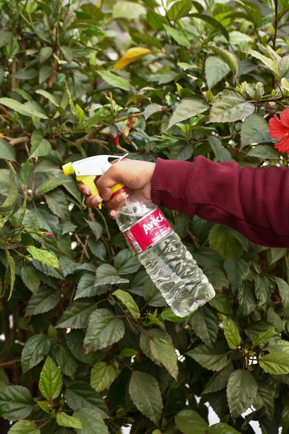 Spray Pipe NG-200A (Yellow & White) - Image 3