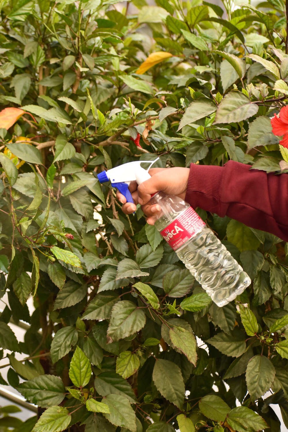 Trigger Sprayer Pipe NG-200A (Blue & White) Trigger Sprayer Pipe - Image 3