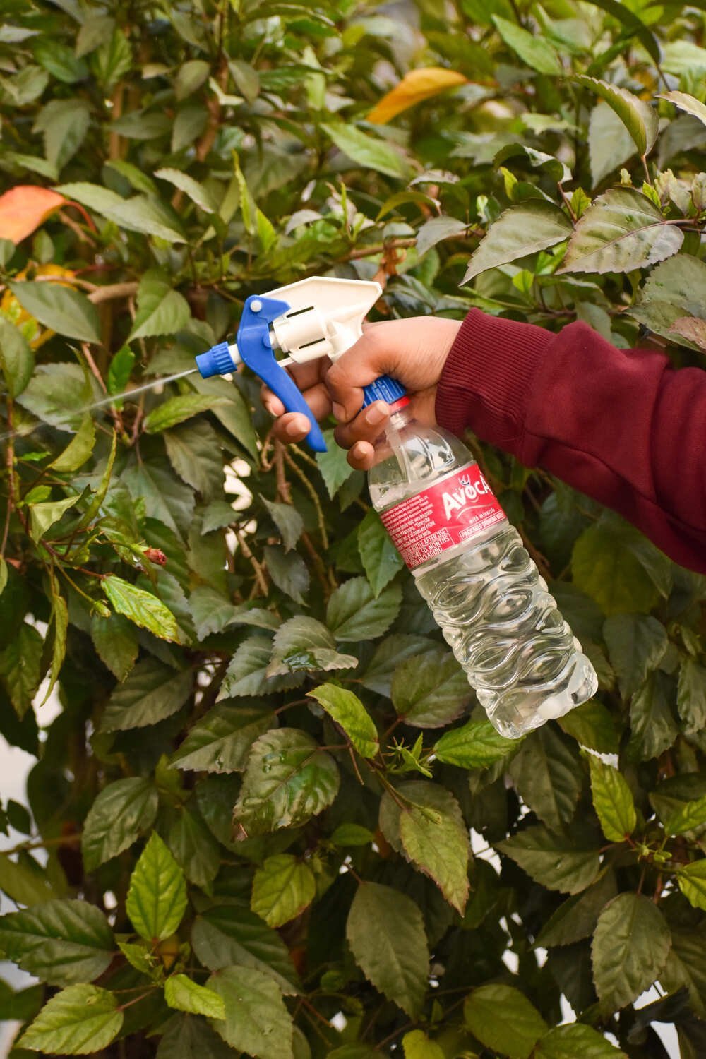 Trigger Sprayer Gun NG-200D (Blue & White) - Image 3