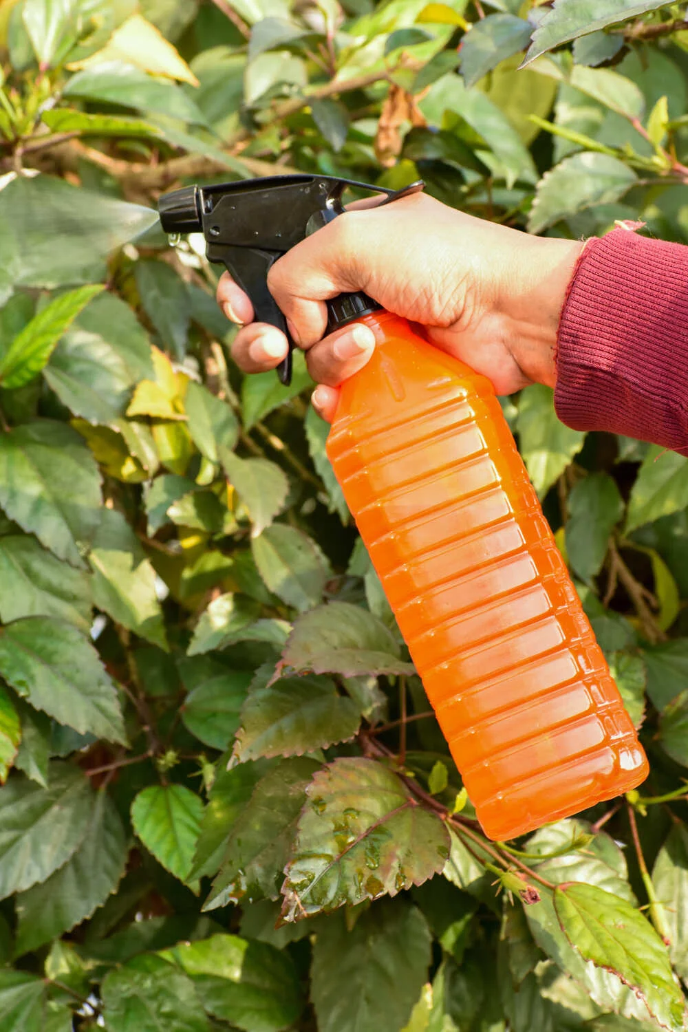 Pet Sprayer NGI-101 - Image 3