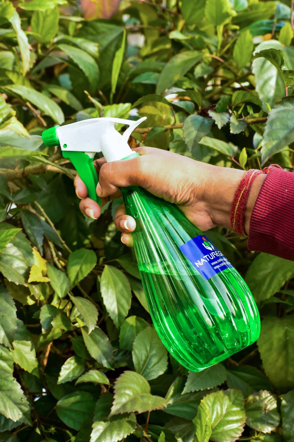 Mist Bottle NGI-233 - Image 4