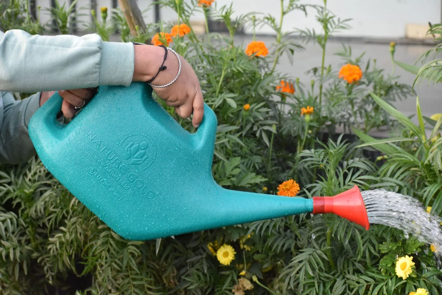 Water Sprinkler Can NG-WC-05 - Image 4