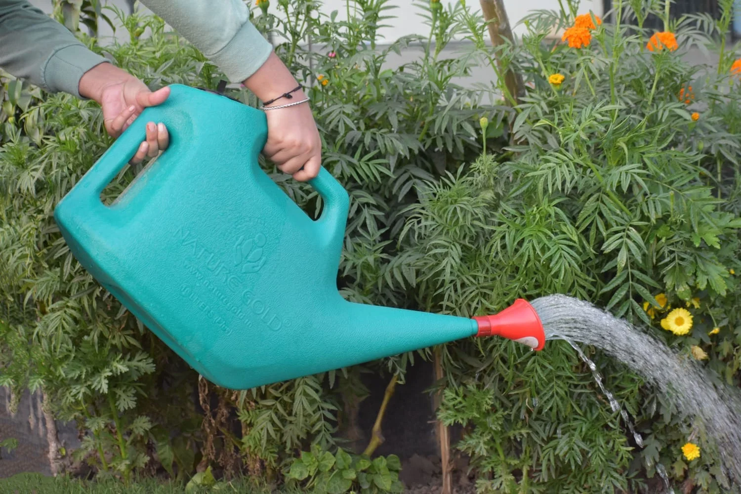 Plastic Watering Can NG-WC-10 - Image 3