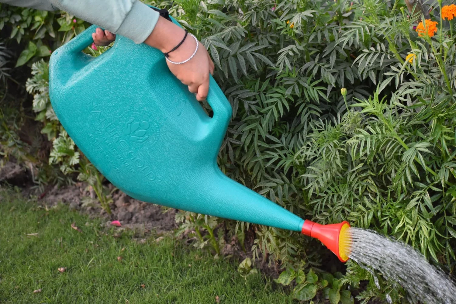 Plastic Sprinkler Rose Head NG-WS-01 - Image 3